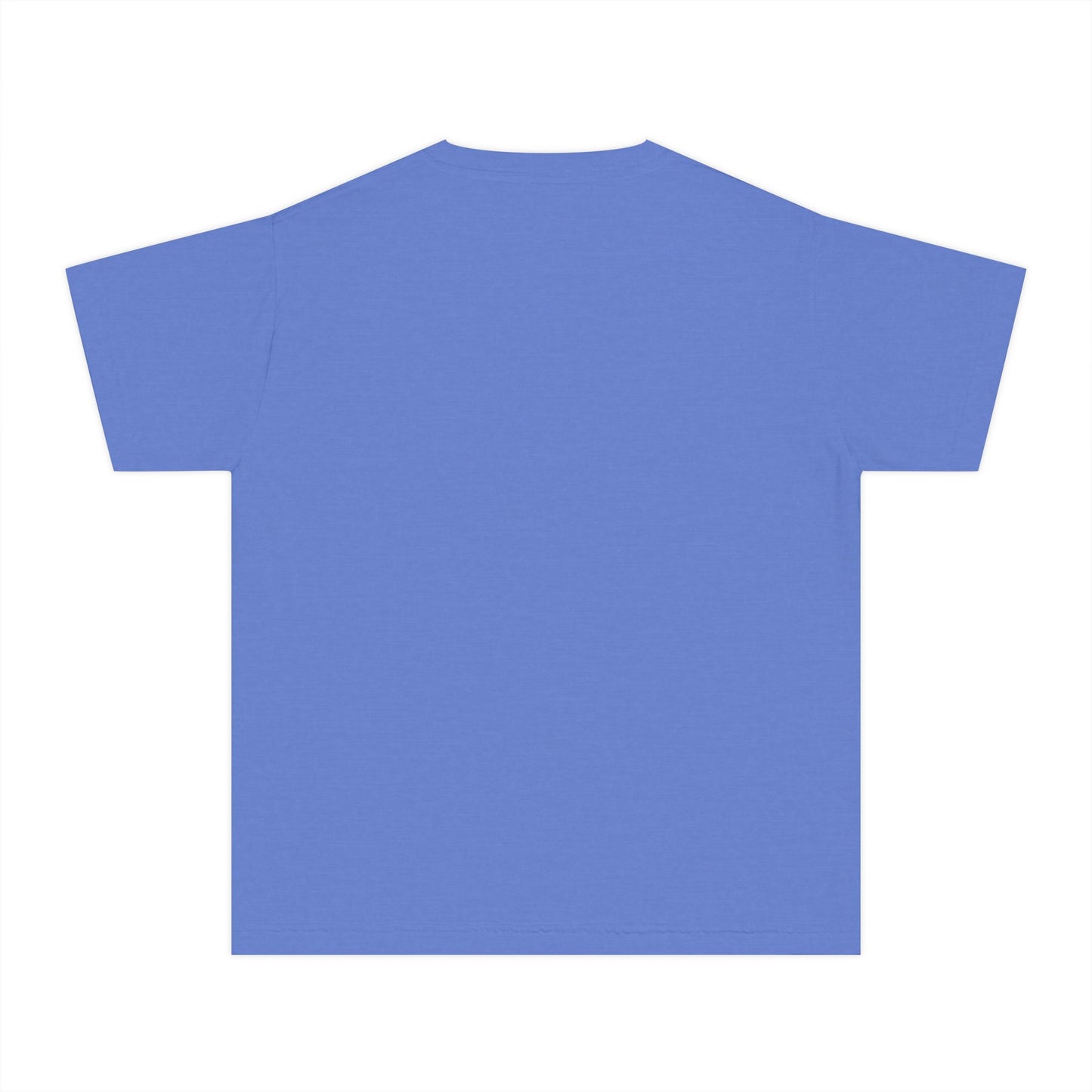 My Little Bible Princess Youth Midweight Tee
